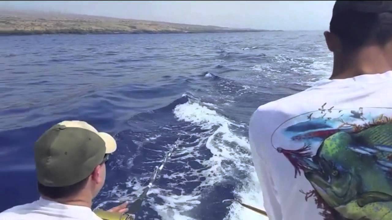 Ono Fishing Big Island Hawaii 38lbs YouTube