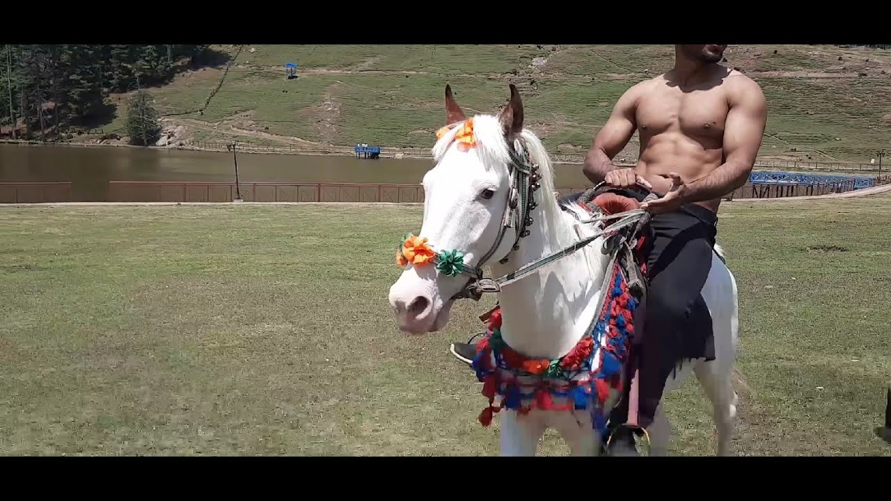 shirtless horse riding #fun
