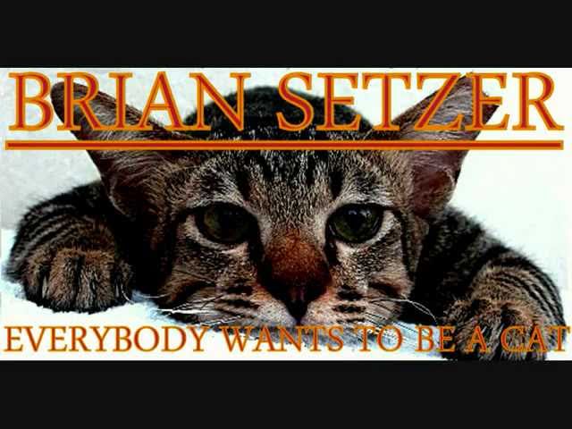 Brian Setzer - Everybody wants to be a cat - YouTube