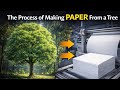 From Tree to Paper: How Paper Is Made Step by Step | Paper Manufacturing Explained