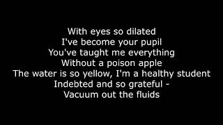 Nirvana - Drain You (Lyrics)