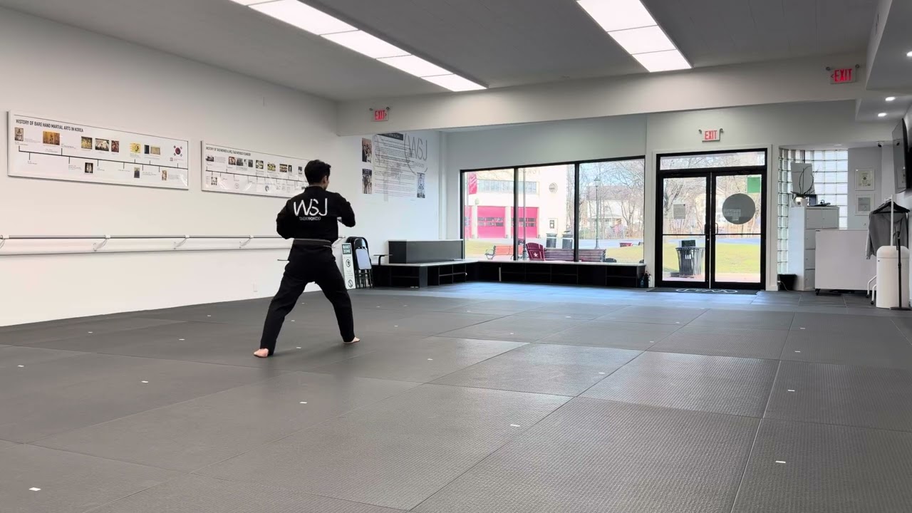 ⚫️⚫️⚫️ Shipjin Poomsae - Black Belt 3rd Dan Curriculum 