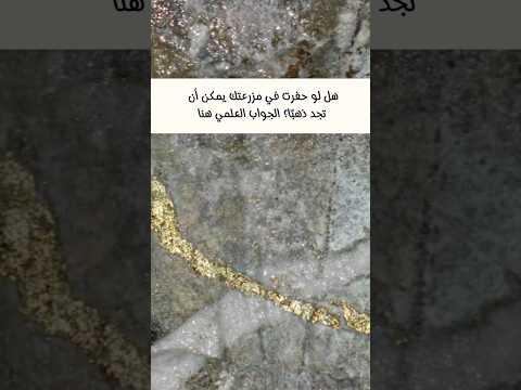 هل الذهب قريب من السطح وهل كل شيء يلمع أثناء الحفر يعتبر ذهب