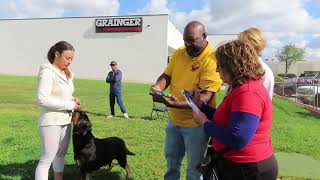 2025-Apr-26 - Lady Sparkles Vom Hause Wolf - Bst - P