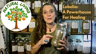 Lobelia How To Use And Benefits