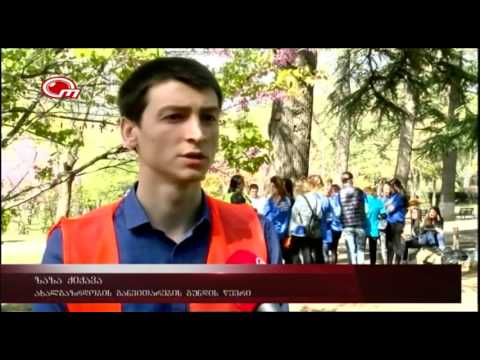 დასუფთავების აქცია