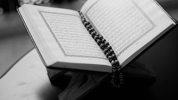 سورة القارعة الشيخ وليد النائحي برواية قالون عن نافع