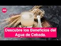 Remedio con Cebada para la #Cistitis y #Estreñimiento | Sin Récipe