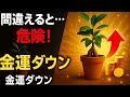 【危険】秋にガジュマルを間違った場所に置くと…金運ダウン確定！？