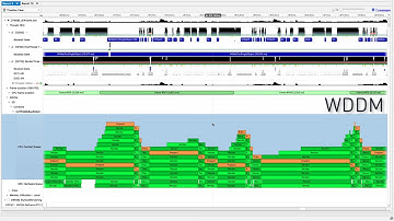 Nsight Systems - 2019.6 Direct3D11 Feature spotlight