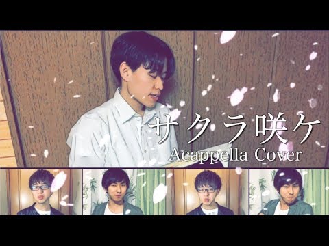 【受験生応援ソング】全部声だけでサクラ咲ケ/嵐 COVER BY TaniYuuki&たかたか&ホワイト acapella app