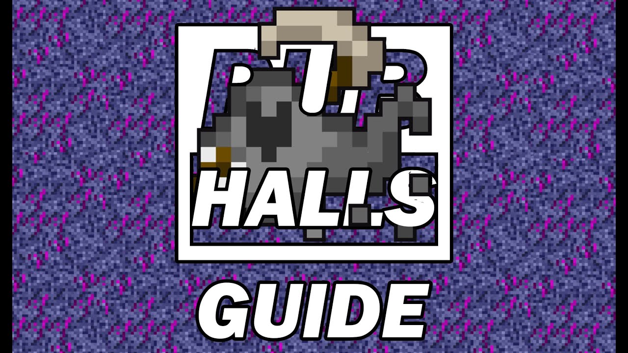 Halls guide. Lost halls. lost halls rotmg. rotmg.