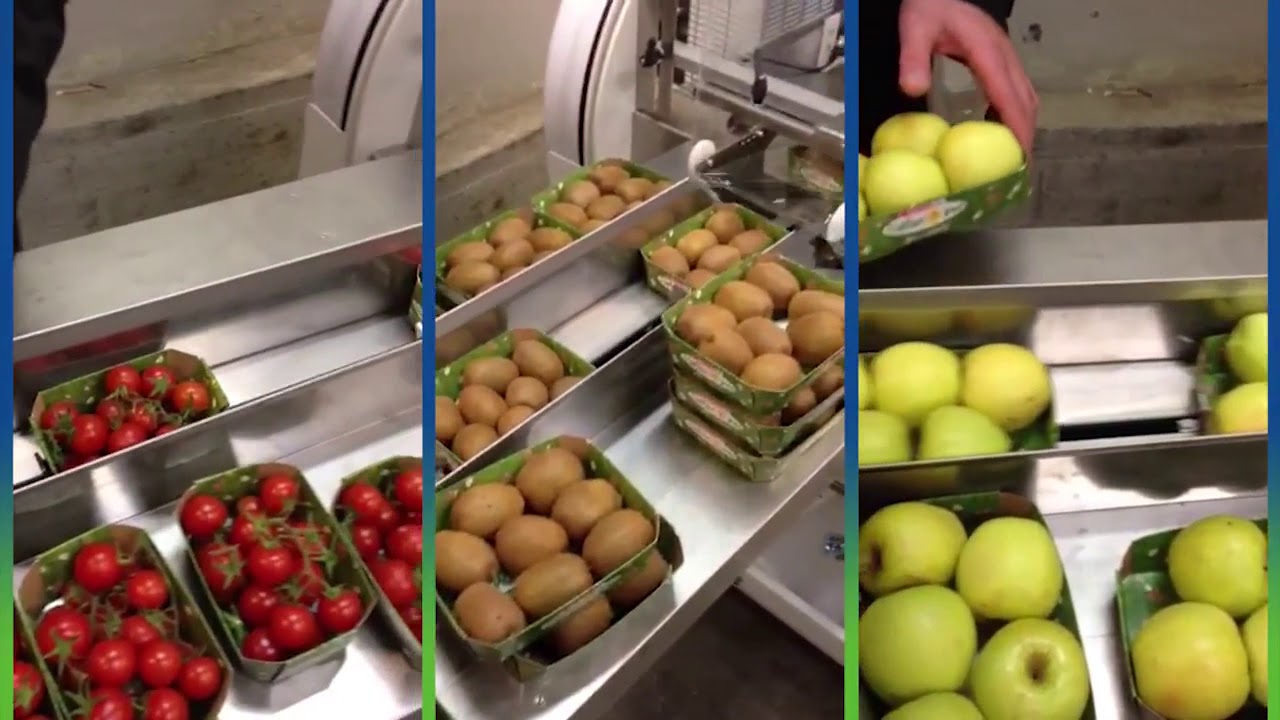 CRIMA FAST упаковка фруктов и овощей