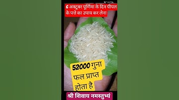 आज 6 अक्टूबर शरद पूर्णिमा के दिन पीपल का पत्ता और चावल से करें महा विशेष उपाय 🙏💯✅ जरूर सुने महिलाएं