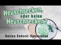 Heuschrecken oder keine Heuschrecken | Gottes Endzeit Speiseplan