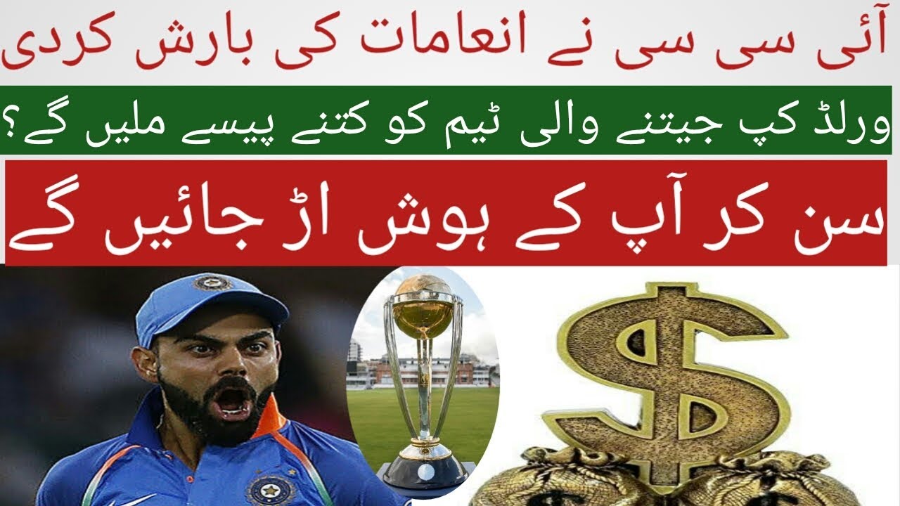 world-cup-2019-winner-prize-money-world-cup-2019-prize-money-youtube
