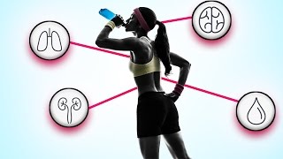 What ENERGY DRINKS do to your BODY 😱😱