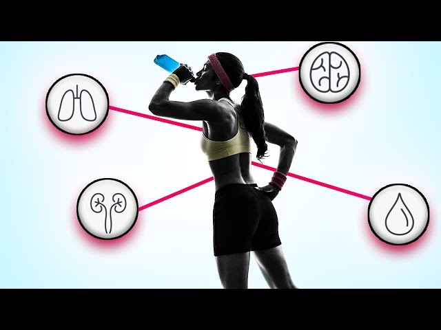 What ENERGY DRINKS do to your BODY 