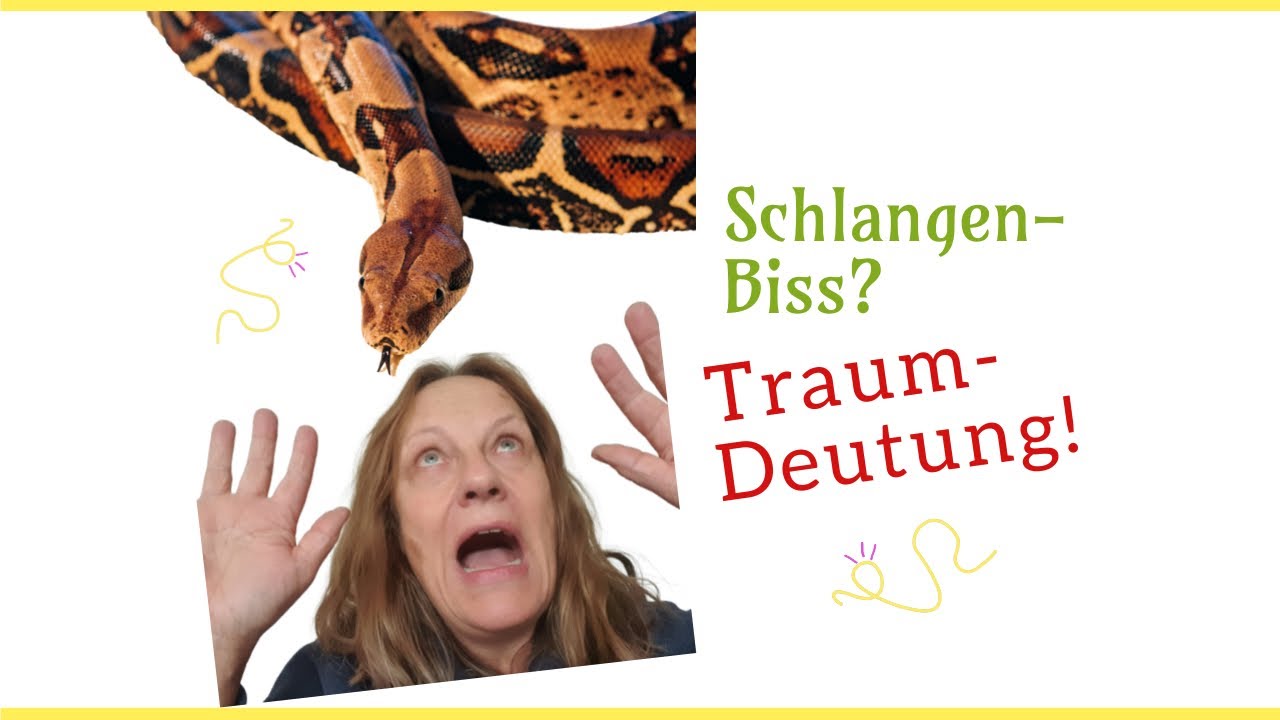Traumdeutung Schlangenbiss In Die Linke Hand Traumdeutung Schlangenbiss. 🐍Traumdeutung im Channeling mit deiner