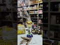 باك العد طاقم مبخرات كريسطال متجر البخور العيد مبخرات انيقة متجر العود العود الحر دهن العود باك العد طاقم مبخرات كريسطال متجر البخور العيد مبخرات انيقة متجر العود العود الحر دهن العود