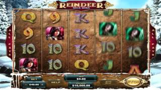 Free Reindeer Wild Wins slot machine by Genesis Gaming gameplay ★ SlotsUp screenshot 2