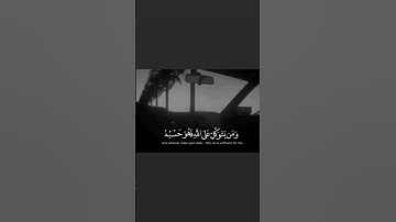هدوء و سكينة #قرآن #القرآن_الكريم #قران_كريم #راحة_نفسية #رمضان #فضل #سورة #فلسطين #song#love #لايك