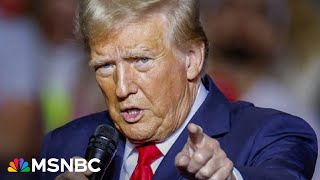 Trump picks are all about 'MAGA loyalty': Presidential historian reacts to transition