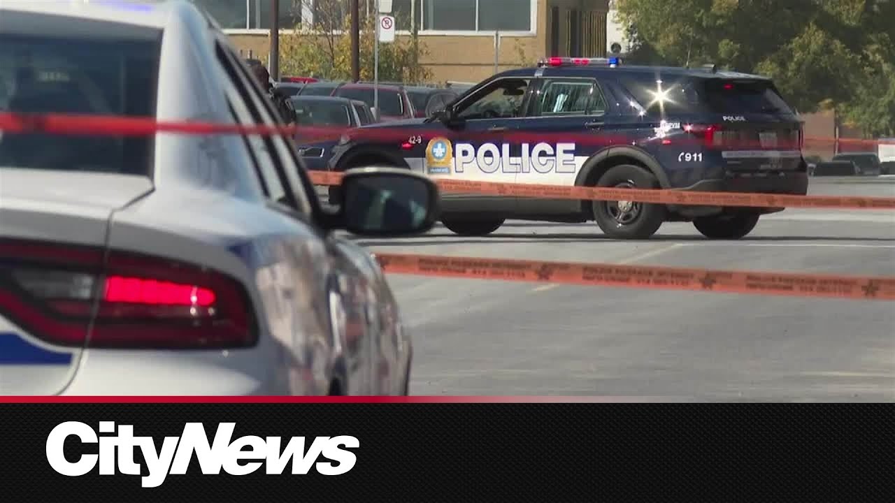 45-year-old woman attacked by 3 dogs in Montreal - YouTube
