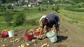 Val Di Gresta La Riscoperta Dellagricoltura Di Paese