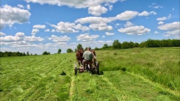 A GORGEOUS DAY TO MAKE SOME HAY #644