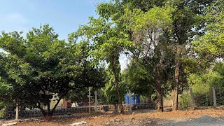 Farmhouse plot for sale at Khopoli Pali 8788035368