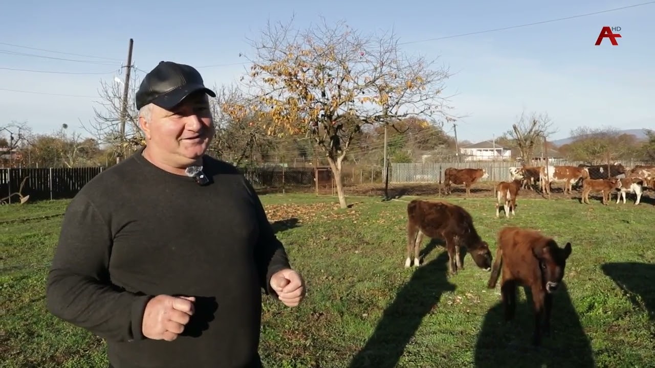 Анхаҩы.Коба Қәаранӡиа