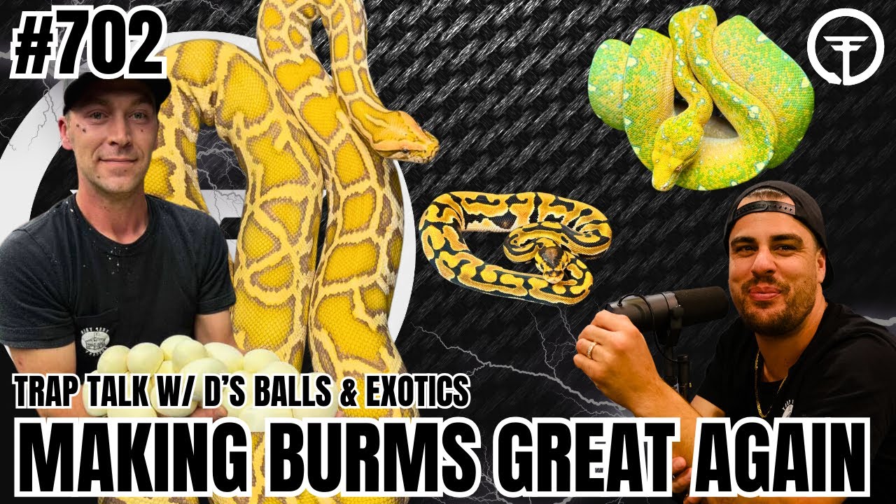 Big Exciting News In The Burmese Python Game | Trap Talk With MJ
