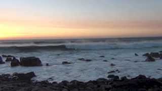 140. Spaghetti I Kangury