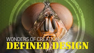 Wonders of Creation: Defined Design