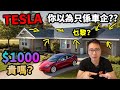 Tesla $1000 貴嗎？99%人都看錯了？可以升到幾多？