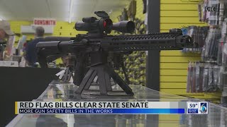 Red Flag Bills Clear Michigan Senate