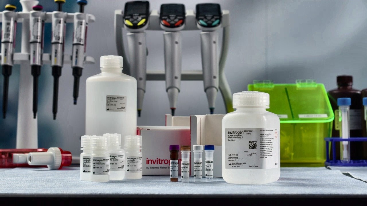 Буфер для вестерн-блоттинга — эффективное удаление загрязнений и повторное зондирование при весте...