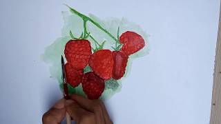 Menggambar Dan Mewarnai Strawberry Menggunakan Cat Air Still Life