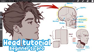 the EASIEST way to learn drawing Heads! (Beginner to Pro) | Full Drawing Process  Real Time