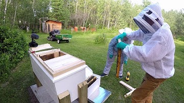 Langstroth to Laynes frame conversion install