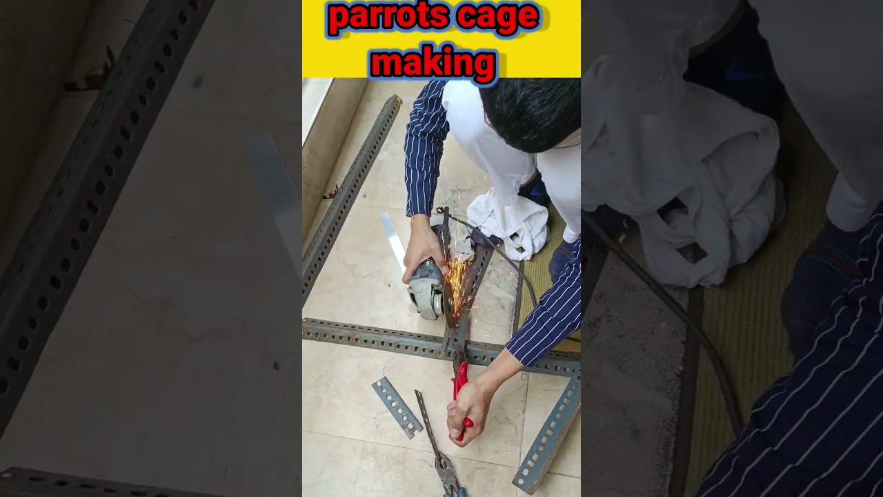 making cage for rescue birds//