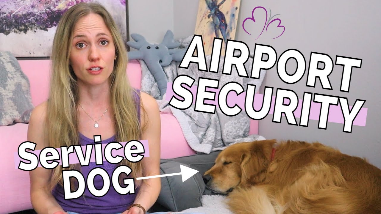 Fly with a SERVICE DOG // How To Do AIRPORT SECURITY SCREENING with a