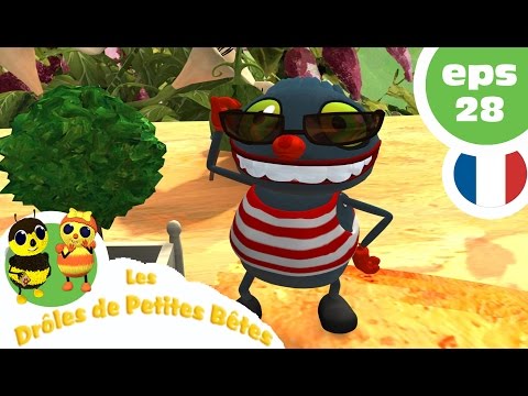 DRÔLES DE PETITES BÊTES EP28 Le Secret Des Fées