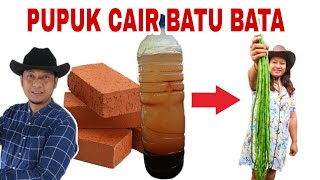 BATA MERAH NAIK KELAS!! JADI PUPUK CAIR ORGANIK, WAJIB COBA !!!