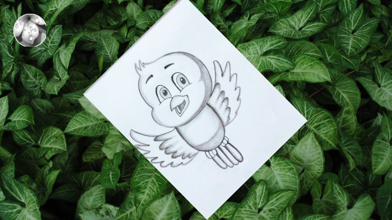 Easy bird drawing How to draw bird step by step cute bird drawing