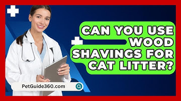 Can You Use Wood Shavings For Cat Litter? - PetGuide360.com