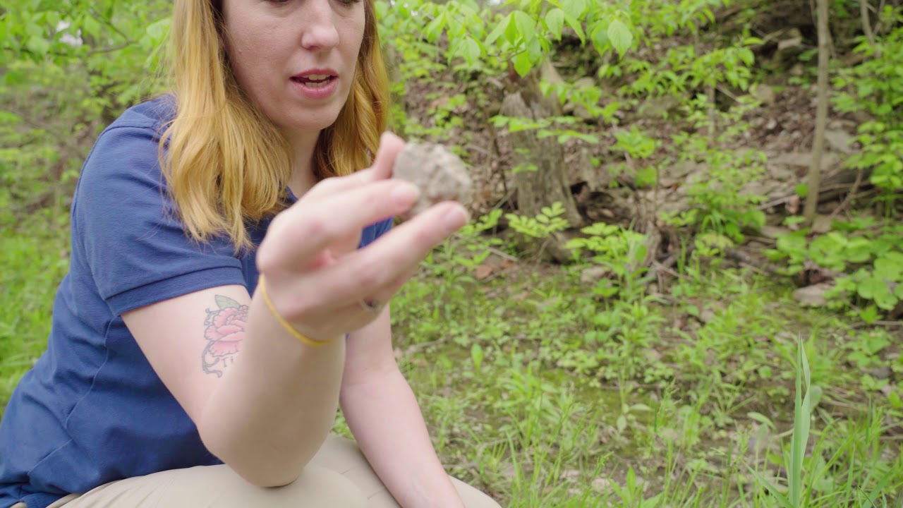 Exploring the Creek at Sharon Woods