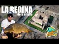 La Regina del Castello