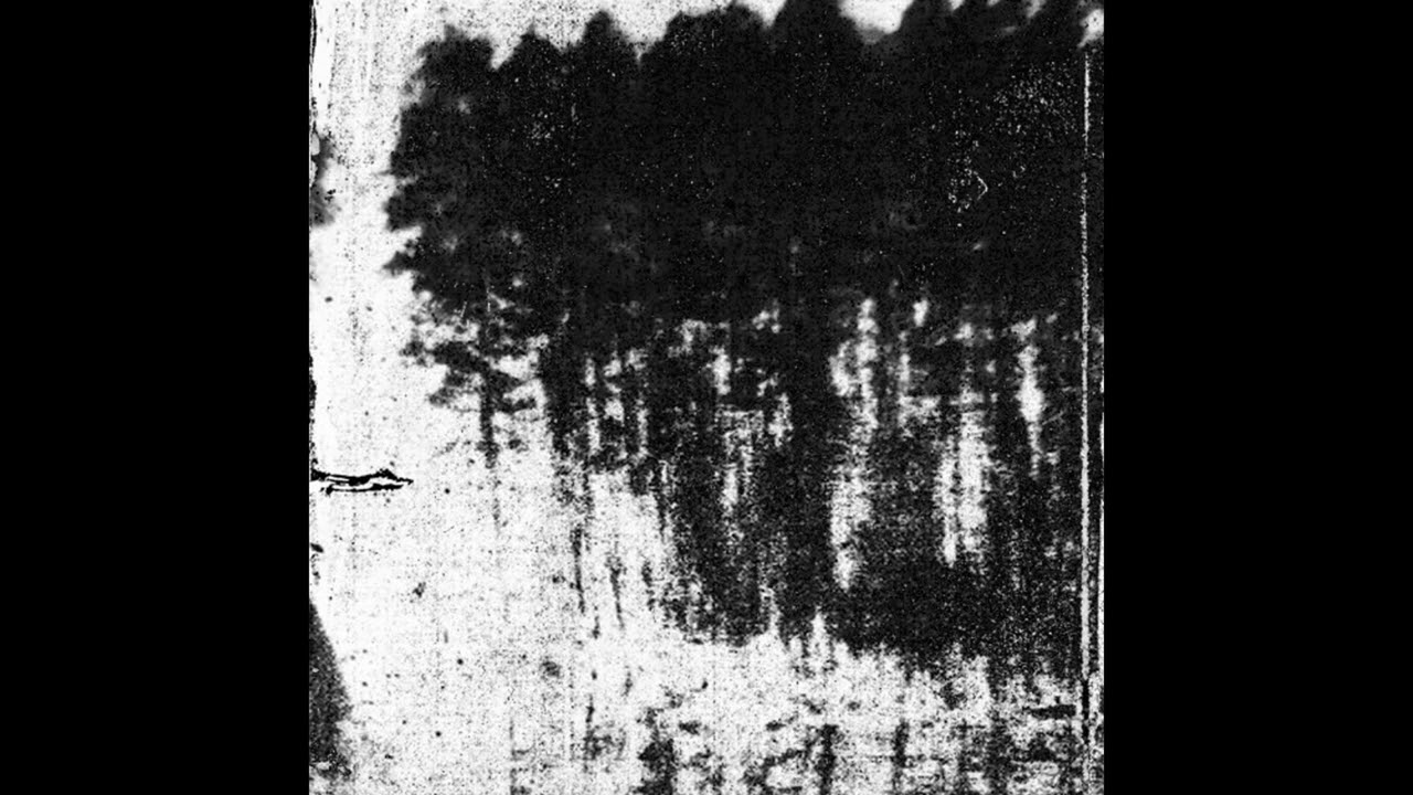 Jzovce (France) — Lesy — 2026 full length